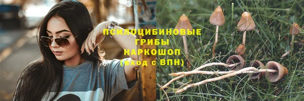 МДПВ Нефтекумск