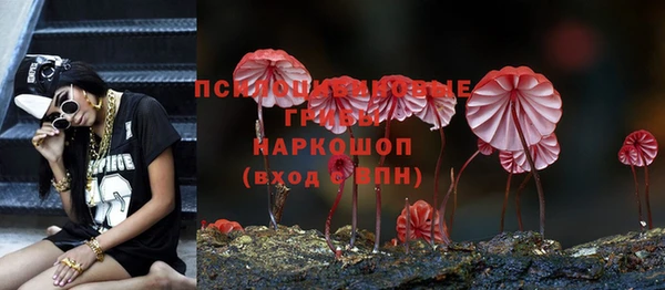 МДПВ Нефтекумск