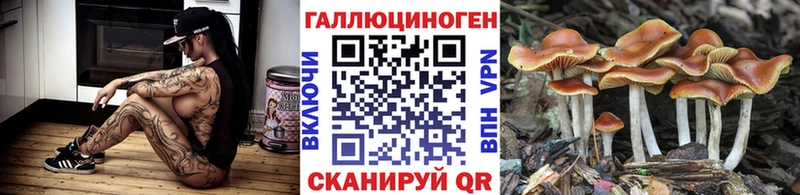 Галлюциногенные грибы MAGIC MUSHROOMS  что такое   Мостовской 
